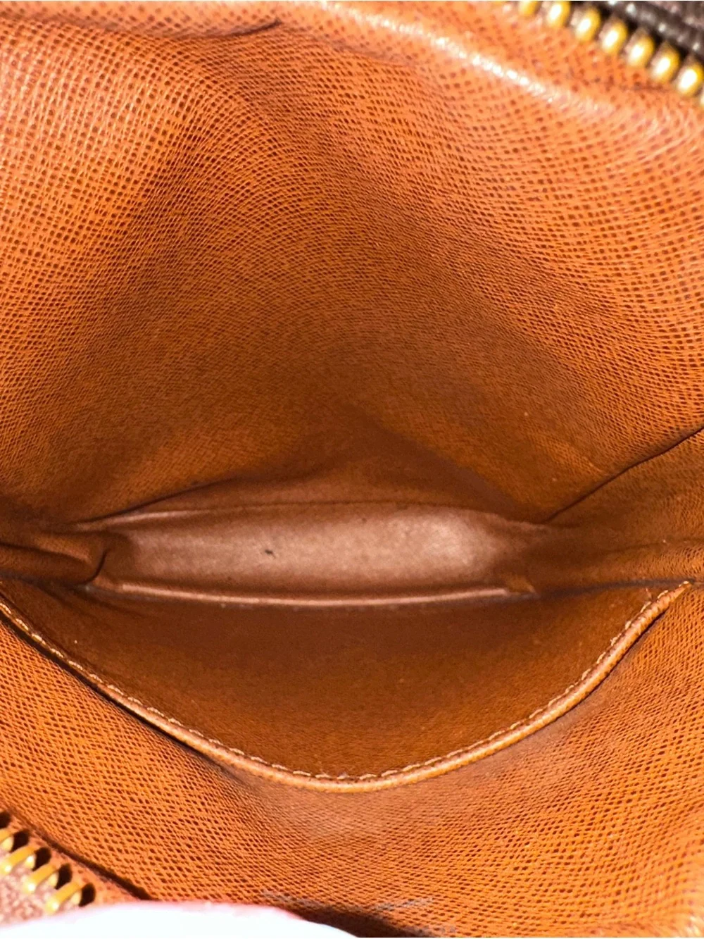 Louis Vuitton Monogram Danube crossbody